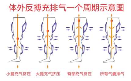 红姐论坛