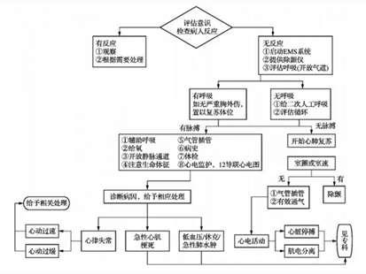 红姐论坛